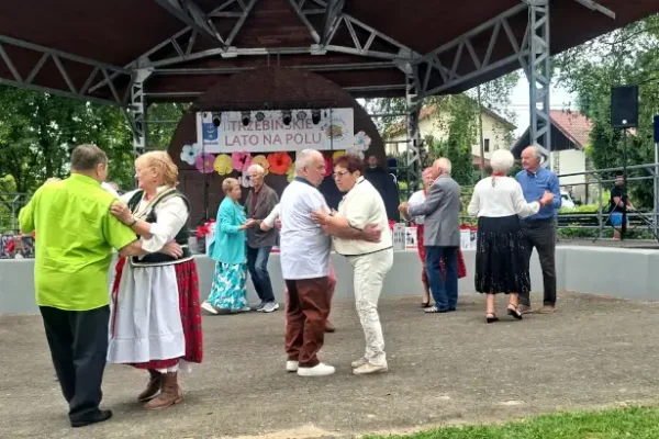 Trzebińskie Lato na Polu – integracja organizacji pozarządowych na Błoniach Karniowicach