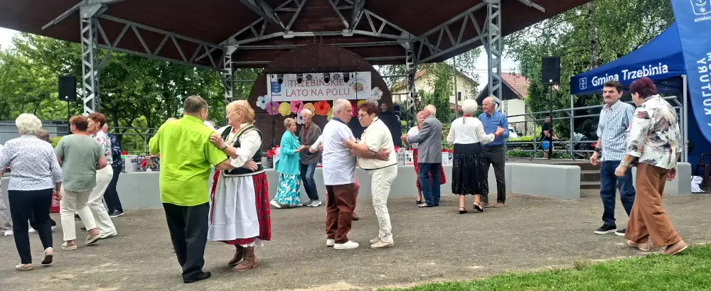 Trzebińskie Lato na Polu – integracja organizacji pozarządowych na Błoniach Karniowicach