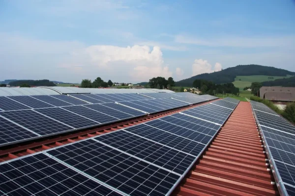 Rekordowe 44 mln zł na zieloną transformację w Małopolsce Zachodniej