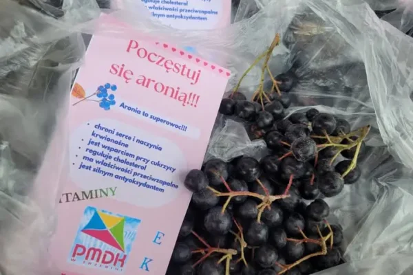 Aronia – mały owoc o wielkiej mocy. Dom Pomocy Społecznej zaprasza po darmowe owoce