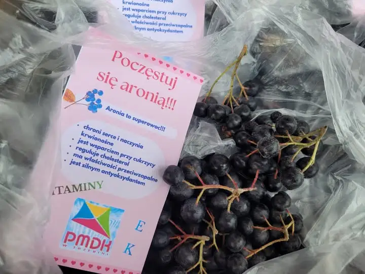 Aronia – mały owoc o wielkiej mocy. Dom Pomocy Społecznej zaprasza po darmowe owoce