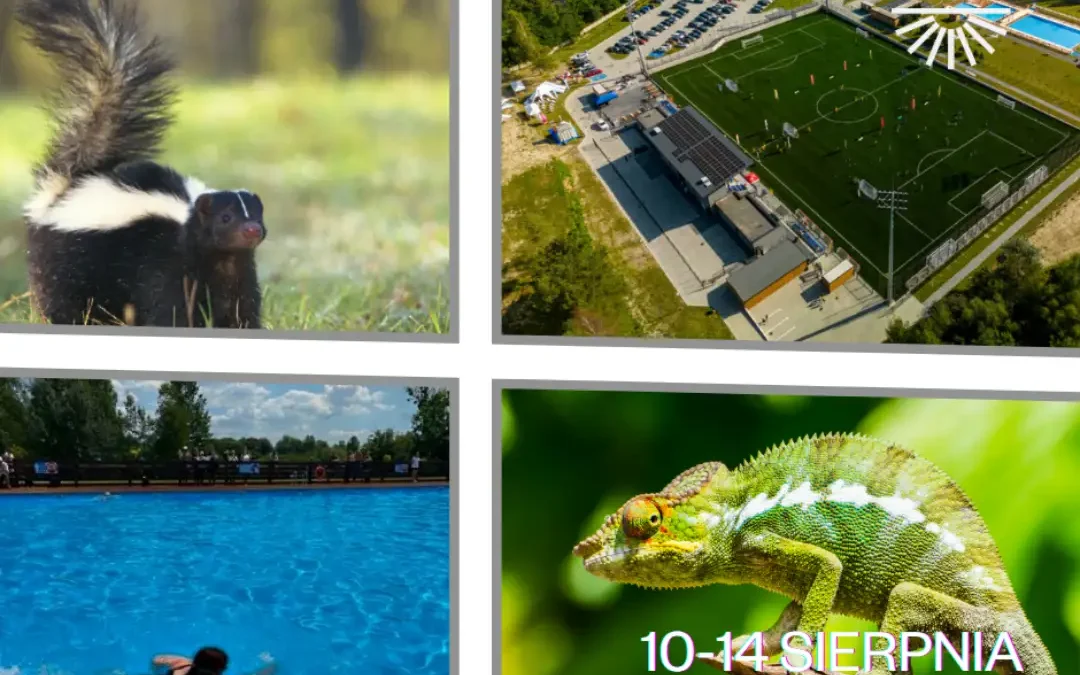 Wakacyjny Tydzień z MCS w Chrzanowie – ostatnie wolne miejsca na sportowe atrakcje