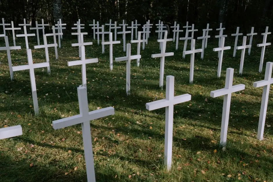 Tajemnica wojennej mogiły z Rozkochowa
