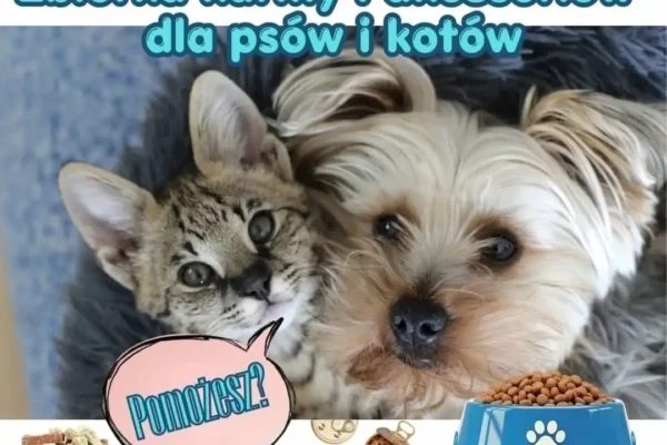 Pomoc dla zwierząt w powiecie chrzanowskim – trwa zbiórka darów