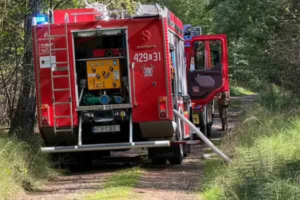 Pożar torfowiska w lesie przy ul. Spokojnej — akcja strażaków z Libiąża