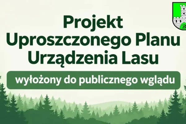 Gmina Babice: Właściciele lasów mogą zgłaszać uwagi do uproszczonego planu urządzenia lasu