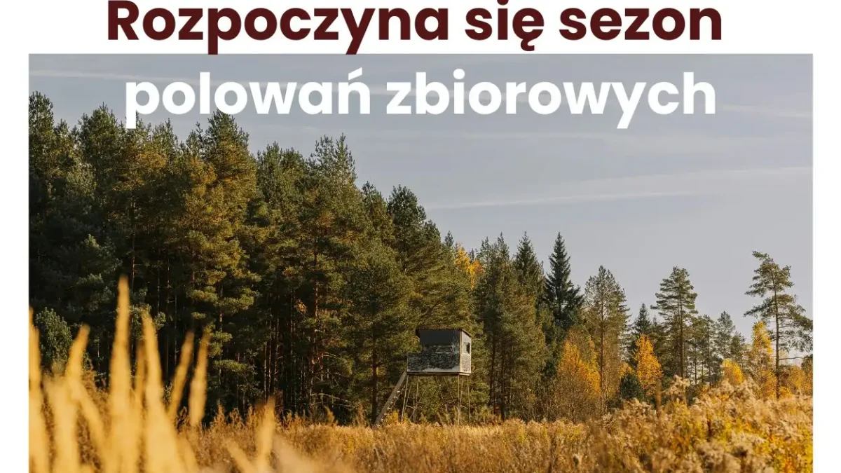 Sezon polowań zbiorowych w Libiążu – sprawdź terminy i zachowaj ostrożność
