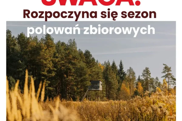 Sezon polowań zbiorowych w Libiążu – sprawdź terminy i zachowaj ostrożność