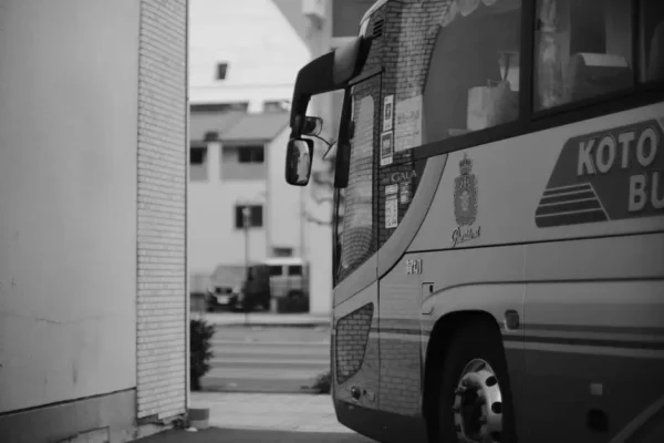 Europejski Dzień Bez Samochodu 2026 w Chrzanowie – darmowe przejazdy komunikacją miejską