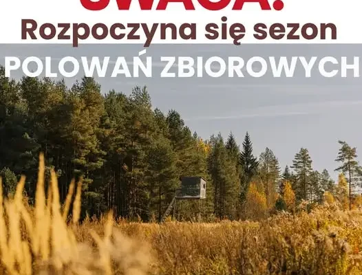 Polowania zbiorowe w lasach wokół Libiąża – sprawdź harmonogram na sezon 2026/2027