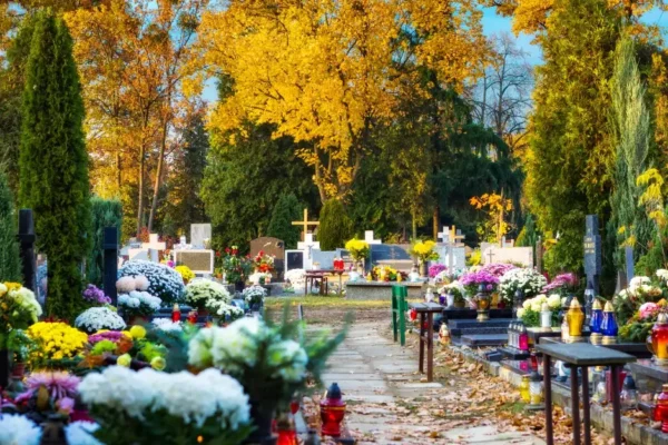 Grobonet ułatwia odnalezienie grobów na cmentarzach w gminie Trzebinia