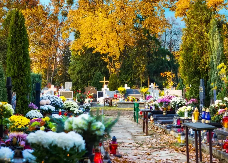 Grobonet ułatwia odnalezienie grobów na cmentarzach w gminie Trzebinia