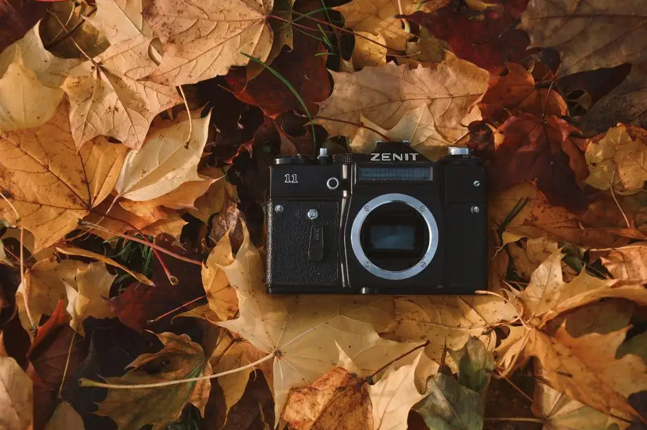 Konkurs fotograficzny „Focus na Gminę Babice” – ostatni dzwonek na październikowe zdjęcie